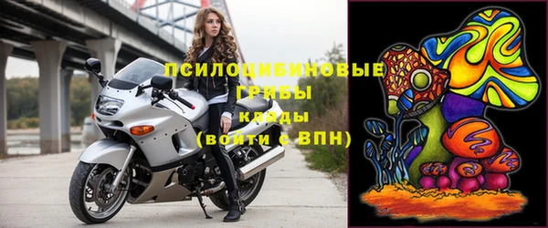 мдпв Осинники